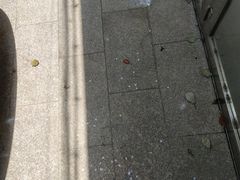 -蜜雪冰城(武进区吾悦店)