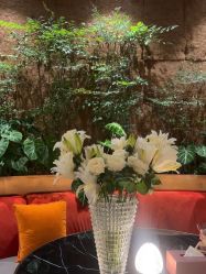 -花隐·美芙炫海菲秀皮肤管理中心