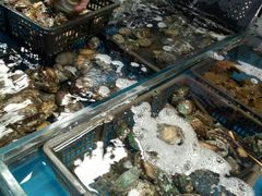 -韩家墅海吉星农产品批发市场