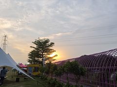 -长洲岛都市农业公园