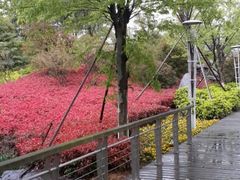 android_upload_pic-郑和公园