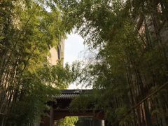 -龙潭水乡