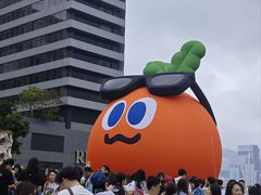 -星光大道