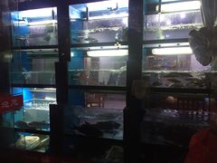 -全乐鱼馆·淳牌有机鱼直营店