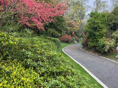 -桃花岛景观公园