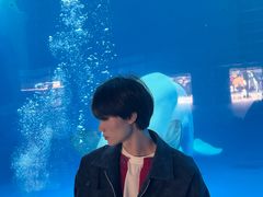 -海合安成都极地海洋公园