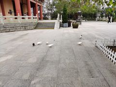 -博鳌禅寺