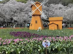 -苏州上方山国家森林公园