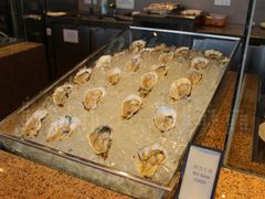 生蚝-视界美食自助餐厅·石家庄希尔顿酒店