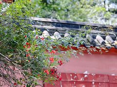 -都江堰景区