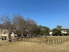 -奈良公园