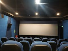 -中影嘉华国际影城(大芬星都里店)