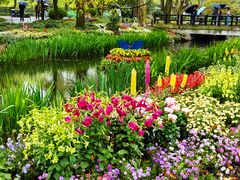 -上海共青森林公园