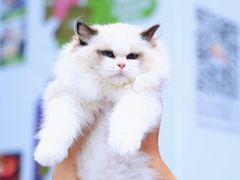 -中粮·祥云小镇