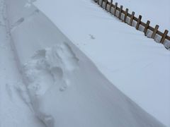 -长白山万达锦华套房酒店