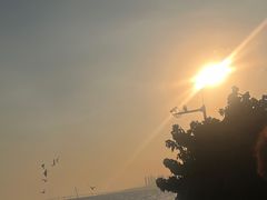 -深圳湾公园(南山区)