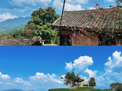-杨家堂村