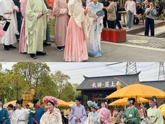 -长田漾湿地公园