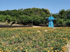 -广州市流溪河国家森林公园