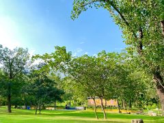 -禅宗少林·音乐大典