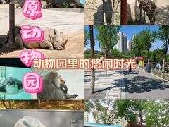 -太原动物园