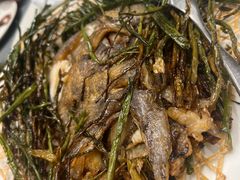 -新吉士·上海菜(浦东LCM置汇旭辉店)