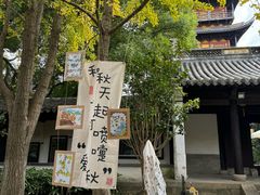 -常熟方塔园