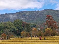 -塔川景区