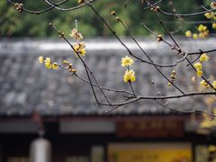 -成都杜甫草堂博物馆