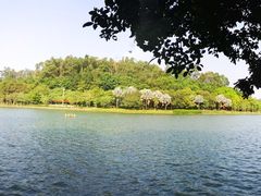 -南国桃园旅游度假区