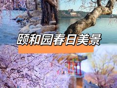 -颐和园