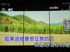 -欢乐迪KTV(观音桥未来国际店)