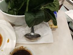 菠菜-洪长兴(广西北路店)