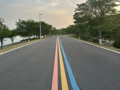 -羊山湖公园