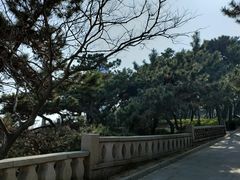 -青岛第一海水浴场