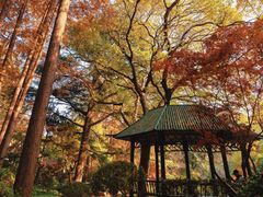 -中山公园