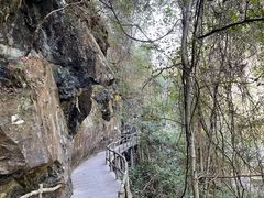 -石台牯牛降景区