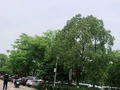 -洋湖国家湿地公园