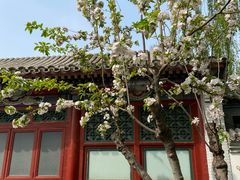 -元大都城垣遗址公园