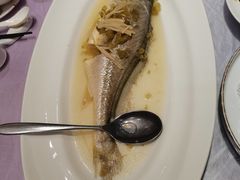 -宝燕壹号(徐汇店)
