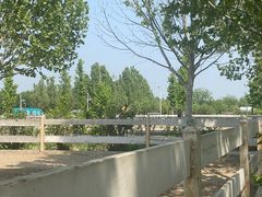 -北京群众马术培训基地