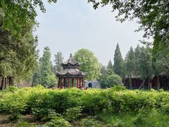 -洛阳白马寺