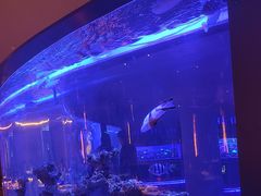 -上和臻品中国菜(花园街店)