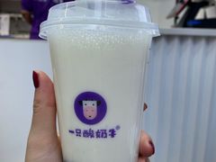 -一只酸奶牛(八一路店)