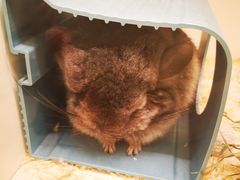 -龙猫仔乐园(惠福东路店)