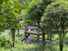 -中国大熊猫保护研究中心雅安碧峰峡基地