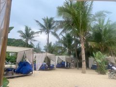 -精酿农场Brew Farm·沙漠绿洲餐厅