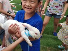 -重庆长寿碧桂园凤悦凤凰酒店