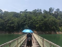 -广州市流溪河国家森林公园