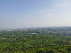 -紫金山山顶公园